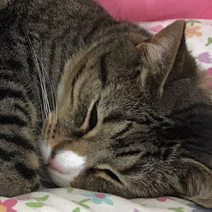 Meet your Posher, Carly